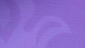 Jacqueline Bracamontes.