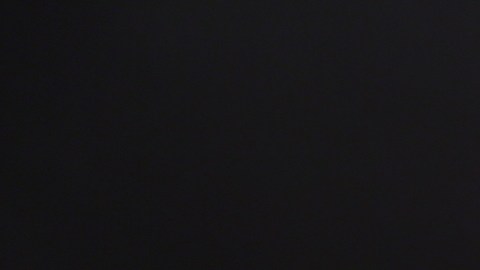 Alejandra Espinoza Tijuana