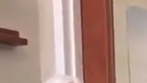 El mandatario mexicano publicó un video en Twitter.