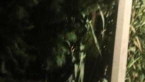 FOTOS: Sicarios matan a balazos a 6 jóvenes, todo apunta a brazo armado del CJNG