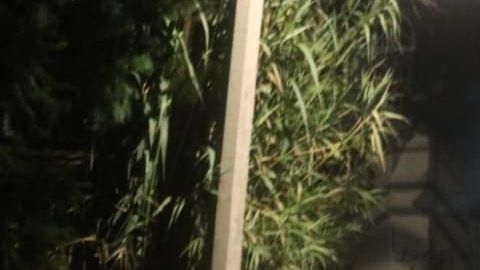 FOTOS: Sicarios matan a balazos a 6 jóvenes, todo apunta a brazo armado del CJNG