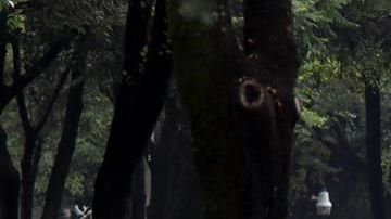 Imagen de la camioneta donde viajaba el jefe policial.