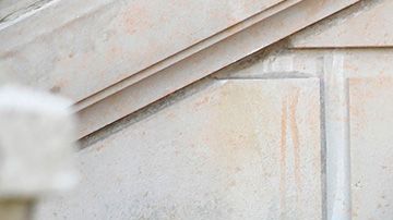 Integrantes de Boogaloo