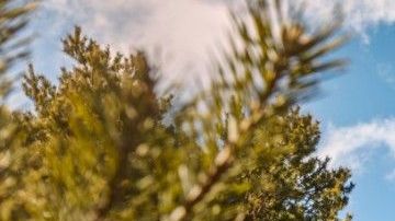 Ford Bronco 2021 de dos puertas