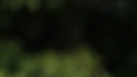 Muere bebé de Camilo Villegas