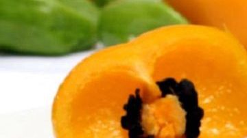 Canibalazzo-Panucho Commons