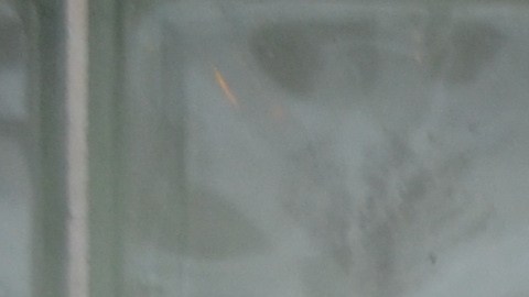 Estela Díaz receives therapy at the BPNC center in Chicago. (Belhú Sanabria / La Raza)