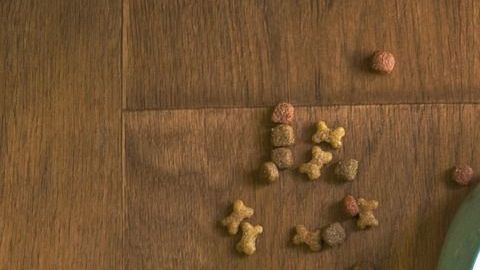 Foto: Mat Coulton/Pixabay