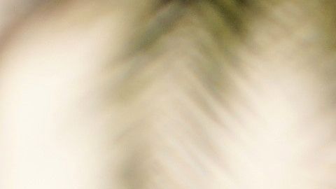 La mayoría de los estadounidenses apoya una reforma migratoria para los dreamers.  (Manuel Ocaño)