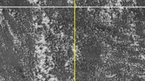 El borde occidental de Hanna trajo condiciones de huracán al sur de Texas.