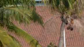 Elementos federales de México ya trabajan en la zona