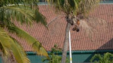 Elementos federales de México ya trabajan en la zona