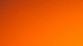 Cuida tu espalda para que el dolor no te impida ser más productivo.