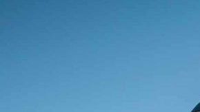 FORD F-150 Raptor. / Foto: Cortesía Ford.