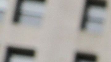 Desde la semana pasada En un campamento en las afuera de City Hall, decenas de manifestante demandan que se hagan recortes en el presupuesto de la Policía.