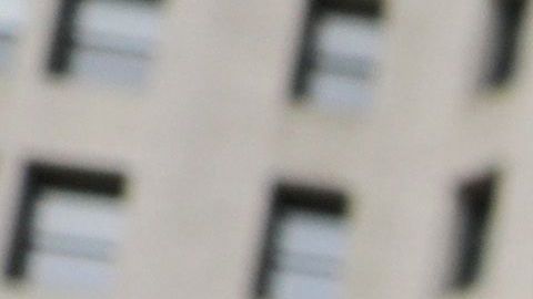 Desde la semana pasada En un campamento en las afuera de City Hall, decenas de manifestante demandan que se hagan recortes en el presupuesto de la Policía.