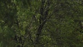 Arman nuevas rodadas contra AMLO