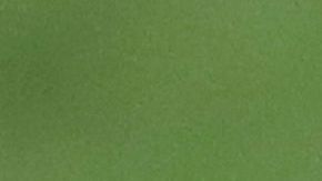 La imagen de los Redskins está inspirada en un integrante de la tribu Pies Negros.