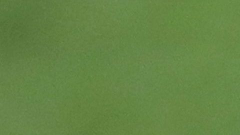 La imagen de los Redskins está inspirada en un integrante de la tribu Pies Negros.