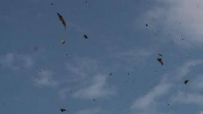 La nave partió de la localidad de Urakusa a las 12:53 horas locales y debía arribar a Chija.