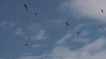 La nave partió de la localidad de Urakusa a las 12:53 horas locales y debía arribar a Chija.