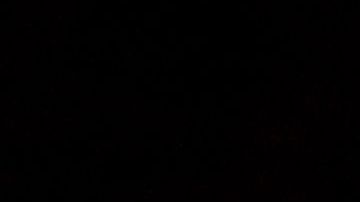 Penny Hardaway lleva los destinos de los Tigers de Memphis desde 2018.