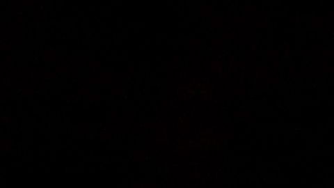 Penny Hardaway lleva los destinos de los Tigers de Memphis desde 2018.