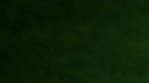 El baile estilo Marinera es tradicional de Perú.