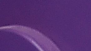 Naya Rivera vivía con su hijo