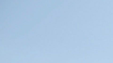 Walmart discriminación cosméticos afroamericanos George Floyd robos