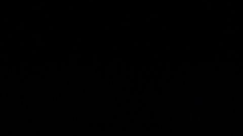 Louis Farrakhan en una imagen de archivo.