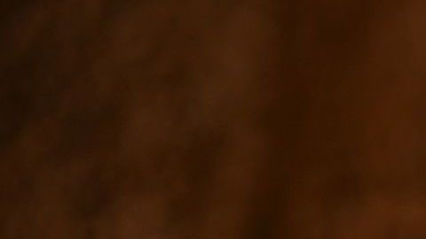 La jugadora de sóftbol es uno de los mejores prospectos juveniles en los Estados Unidos.