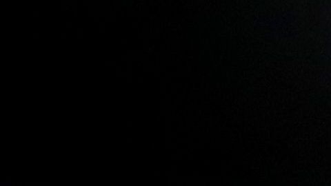 Vergil Ortiz Jr. celebra un triunfo de 2019.