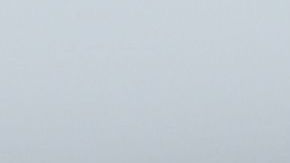 Twitter bloquea de manera temporal la cuenta de Donald Trump Jr. por difundir información falsa