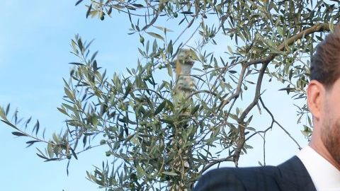 Sergio Ramos y Pilar Rubio en su boda.