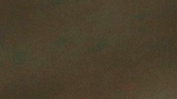 IRS cheque ayuda económica coronavirus COVID-19 dinero errores