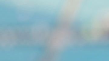 Mike Tyson en un partido de los Jacksonville Jaguars.