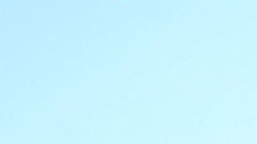 Bed Bath & Beyond cierra 200 cuando las ventas se desploman un 50%