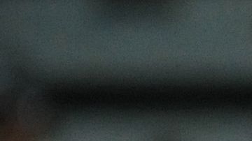 Andre-agassi-steffi-graf