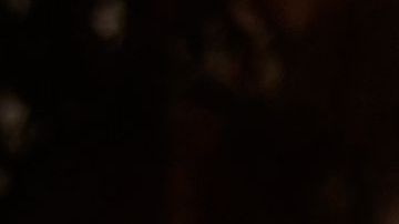 Firefighters Remain On High Alert As Bushfire Conditions Ease Across NSW