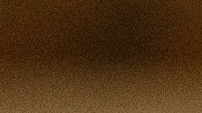 Roman-Martinez era paracaidista de la División de Aire 82 en Fort Bragg, Carolina del Norte.