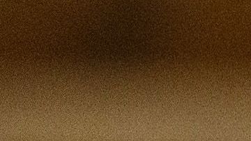 Roman-Martinez era paracaidista de la División de Aire 82 en Fort Bragg, Carolina del Norte.