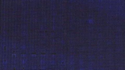 Jordi Cruyff tomó las riendas de Ecuador el 13 de enero.