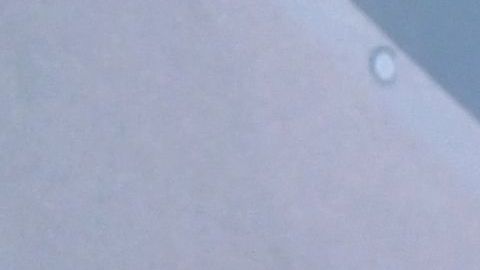 Alex Rodírguez y Jennifer López insisten en comprar a los Mets.