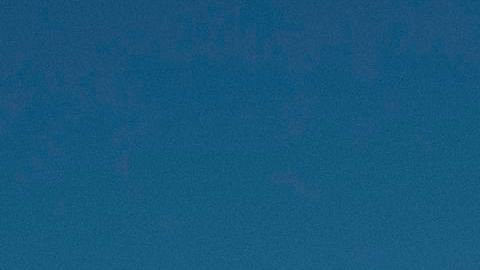 Hallaron el cuerpo moribundo de la mujer el 8 de julio.