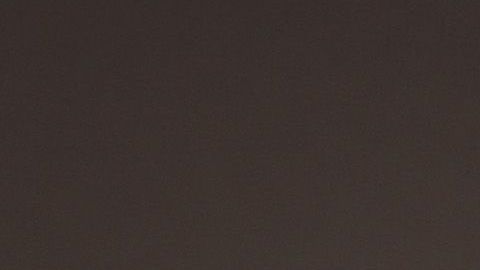 David Price se suma a la lista de peloteros que prefiere quedarse en casa por miedo al coronavirus.