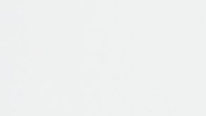 Costco anuncia la apertura de 5 sucursales