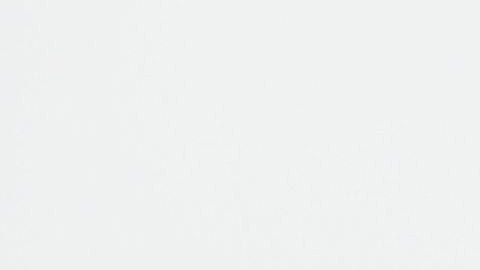 Costco anuncia la apertura de 5 sucursales