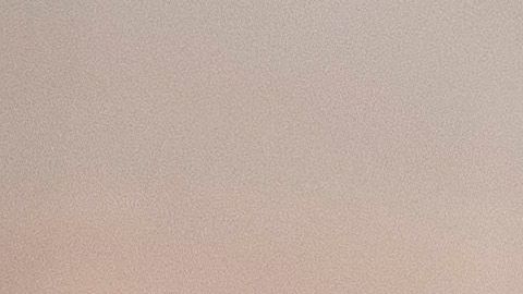 El mundo en la carrera por la vacuna contra COVID-19.