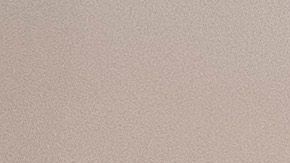 Varios laboratorios intentan encontrar una vacuna contra COVID-19.